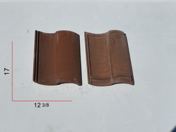 Eagle S-Tile